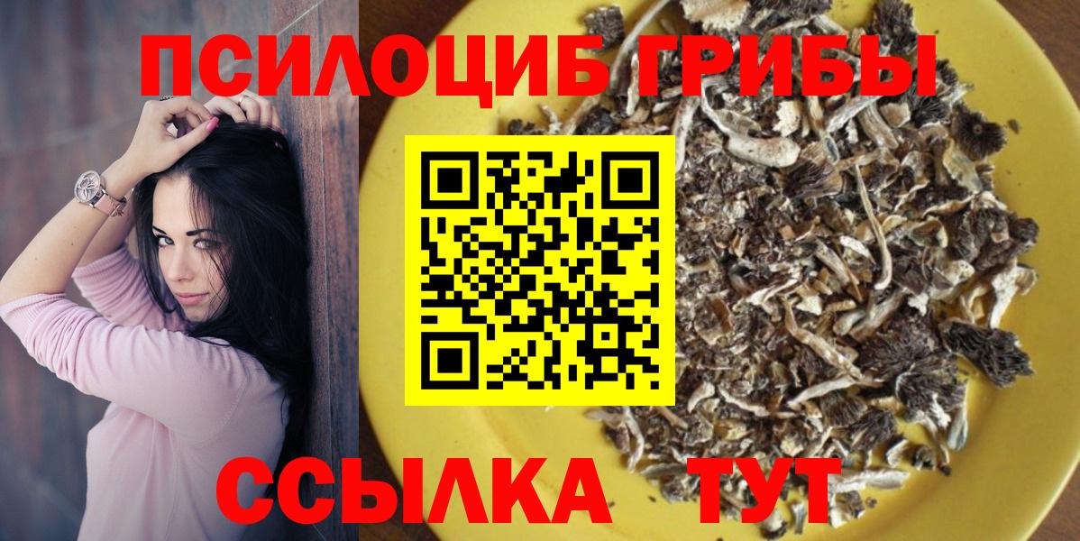 Галлюциногенные грибы мухоморы Петрозаводск