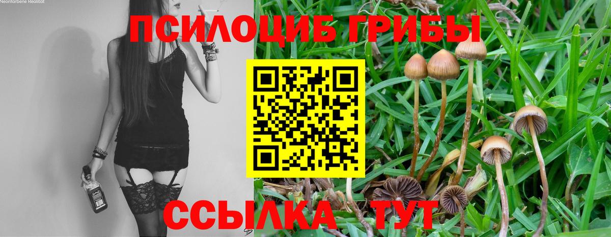 ГАШИШ  Вход с VPN  COCAIN  Метамфетамин  Бошки Шишки  Петрозаводск  Меф кристаллы 