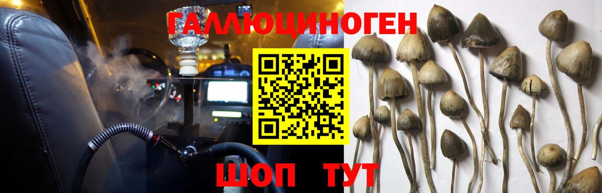 Псилоцибиновые грибы прущие грибы  Псилоцибиновые грибы Magic Shrooms  Петрозаводск  Вход с VPN 